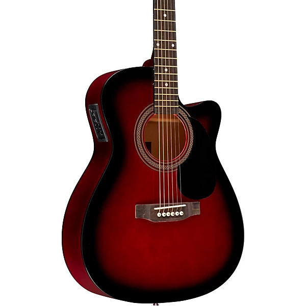 2010 acoustic guitar